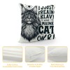 Ulloord Maine Coon Cat Themed Pillowcase Decorations for Home, Funny Quote I Just Freaking Love Maine Coon Cats Okay Throw Pillow Cover, Maine Coon Cat Gifts, Cats Lover Gifts