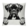 Ulloord Hope You Like Boxers Dog Themed Pillowcase Decorations for Home, Funny German Boxer Dog Love Throw Pillow Cover, Boxer Dog Lover Gifts, Boxer Mom Gifts