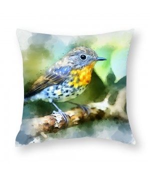 Ulloord Vintage Watercolor Birds Decorative Farmhouse Pillow Cover Birds&nbsp;are Singing&nbsp;Square Outdoor Throw Pillow Cushion Cover 